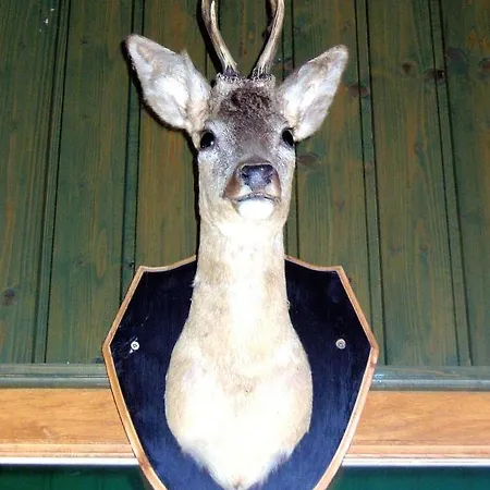 Hotel Aranyszarvas-goldener Hirsch