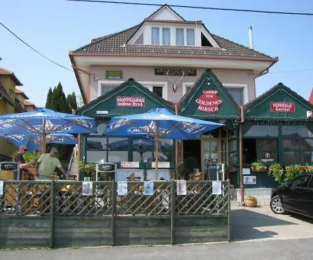 Aranyszarvas-goldener Hirsch