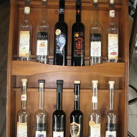 Hotel Aranyszarvas-goldener Hirsch 3*