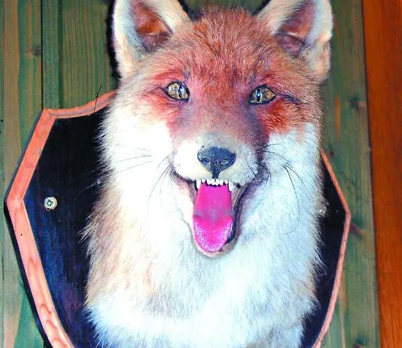 Aranyszarvas-goldener Hirsch 3*